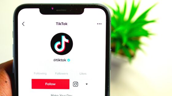 TikTok parental controls