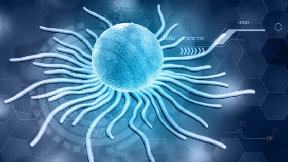 New Study Explains How T Cells Turn On to Fight Cancer