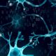 Scientists Printed Artificial Neurons That Talk to Real Brain Cells