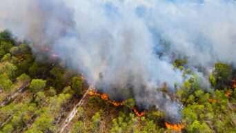 New AI Model Accurately Predicts Wildfire Spread in Real Time