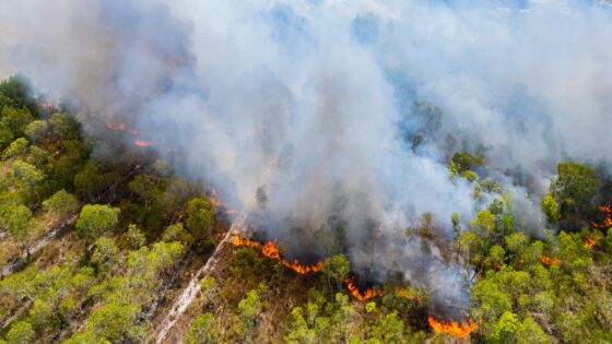 New AI Model Accurately Predicts Wildfire Spread in Real Time