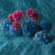 3D-Printed Lymph Nodes and the Quest to Make CAR T-Cell Therapy Affordable